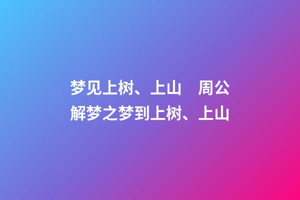 梦见上树、上山　周公解梦之梦到上树、上山